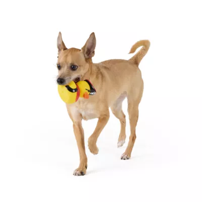 Thrills & Chills™ Halloween Vinyl Pirate Duck Dog Toy - Image 2