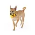 Thrills & Chills™ Halloween Vinyl Pirate Duck Dog Toy image thumbnail 2