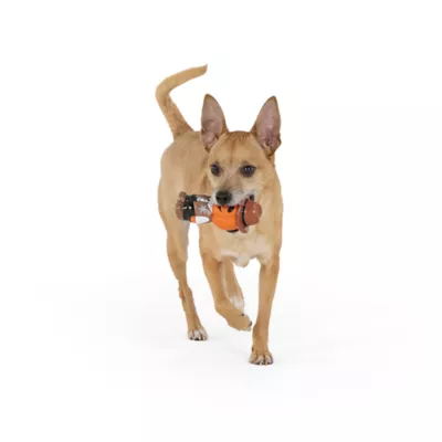 Thrills & Chills™ Halloween  Vinyl Pumpkin Dog Toy - Image 2