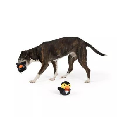 Thrills & Chills™ Halloween Plush Bat Vampire  Dog Toy 2-Pack - Image 2