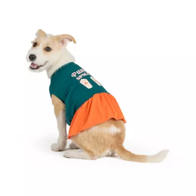 Top Paw® Pumpkin Spice Dress - Image 1