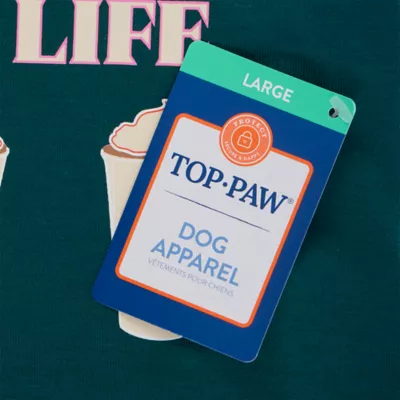 Top Paw® Pumpkin Spice Dress - Image 4