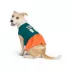 Top Paw® Pumpkin Spice Dress image thumbnail 1