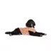 Top Paw® Pumpkin Tee image thumbnail 1