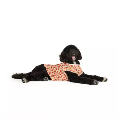Top Paw® Pumpkin Tee - Image 1