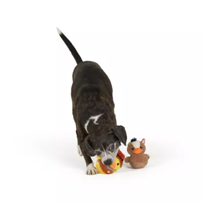 Thrills & Chills™ Halloween Plush Duck Horse Cowboy  Dog Toy 2-Pack - Image 2