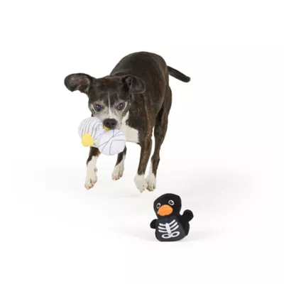 Thrills & Chills™ Halloween Plush Duck Mummy Skeleton  Dog Toy 2-Pack - Image 2