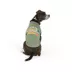 Top Paw® Leaves & Pumpkins Tee image thumbnail 1
