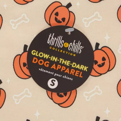 Thrills & Chills® Pumpkins Hoodie - Image 6