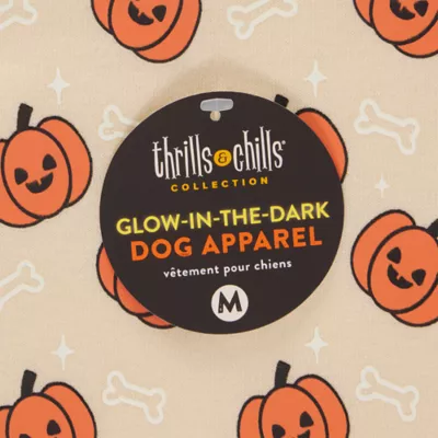 Thrills & Chills® Pumpkins Hoodie - Image 6