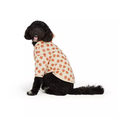 Thrills & Chills® Pumpkins Hoodie - Image 2