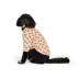 Thrills & Chills® Pumpkins Hoodie image thumbnail 2