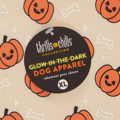 Thrills & Chills® Pumpkins Hoodie - Image 6