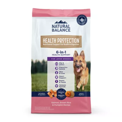 Natural Balance Health Protection Large Breed Adult Dry Dog Food - Salmon - Image 1