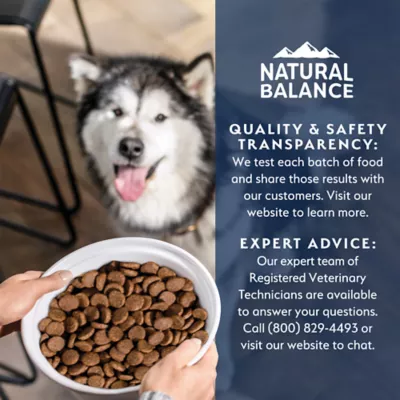 Natural Balance Health Protection Large Breed Adult Dry Dog Food - Salmon - Image 3