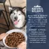 Natural Balance Health Protection Large Breed Adult Dry Dog Food - Salmon image thumbnail 3