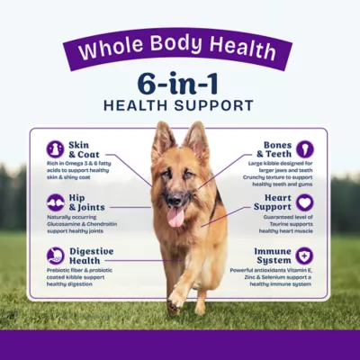 Natural Balance Health Protection Large Breed Adult Dry Dog Food - Salmon - Image 4