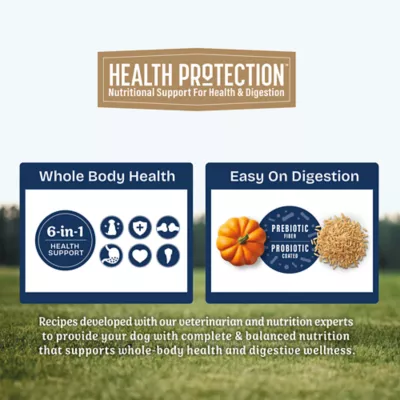 Natural Balance Health Protection Large Breed Adult Dry Dog Food - Salmon - Image 6