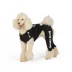 Thrills & Chills® Skeleton Dog & Cat Sweatsuit image thumbnail 2