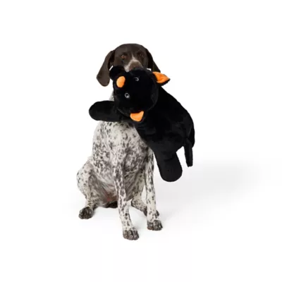 Thrills & Chills™ Halloween Plush XL Plush Cat Dog Toy - Image 1