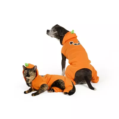 Thrills & Chills® Pumpkin Dog & Cat Sweatsuit - Image 1
