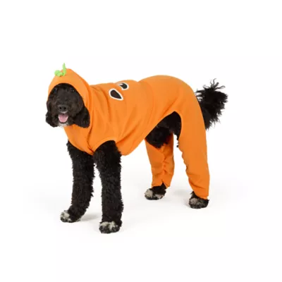 Thrills & Chills® Pumpkin Dog & Cat Sweatsuit - Image 2