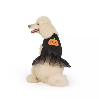 Thrills & Chills® Pumpkin Dress - Image 2