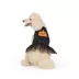 Thrills & Chills® Pumpkin Dress image thumbnail 2