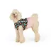 Thrills & Chills® Halloween Flower Dress image thumbnail 2