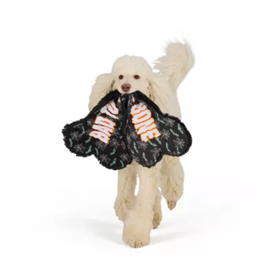 Thrills & Chills™ Halloween Plush Flattie Bone Dog Toy - Image 1