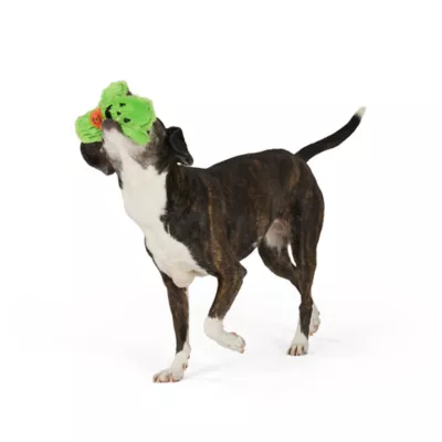 Thrills & Chills™ Halloween Plush Flattie Cactus Dog Toy - Image 2