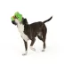 Thrills & Chills™ Halloween Plush Flattie Cactus Dog Toy image thumbnail 2
