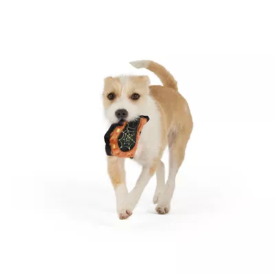 Thrills & Chills™ Halloween Plush Flattie Horse Shoe Dog Toy - Image 2