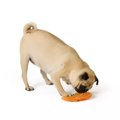 Thrills & Chills™ Halloween Plush Flattie Pumpkin Dog Toy - Image 2