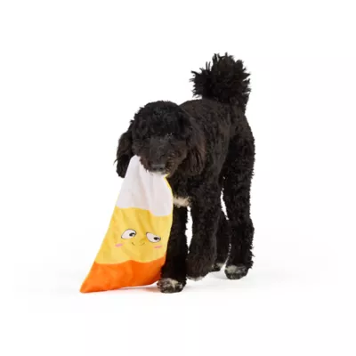 Thrills & Chills™ Halloween Plush Flattie Candy Corn Dog Toy - Image 1