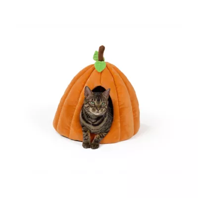 Thrills & Chills® Halloween Pumpkin Hut Cat Bed, ONESIZE 16 IN L X 16 IN W - Image 1