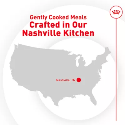 Royal Canin Adult Frozen Dog Food - Pork & Rice - Image 3