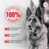 Royal Canin Adult Frozen Dog Food - Pork & Rice image thumbnail 7