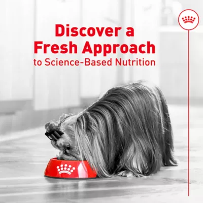 Royal Canin Adult Frozen Dog Food - Pork & Rice - Image 8