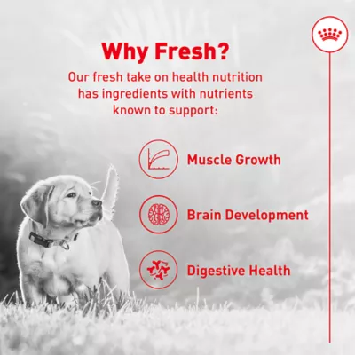 Royal Canin Puppy Frozen Dog Food - Chicken & Rice - Image 2