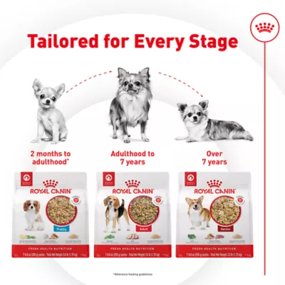 Royal Canin Puppy Frozen Dog Food - Chicken & Rice - Image 6