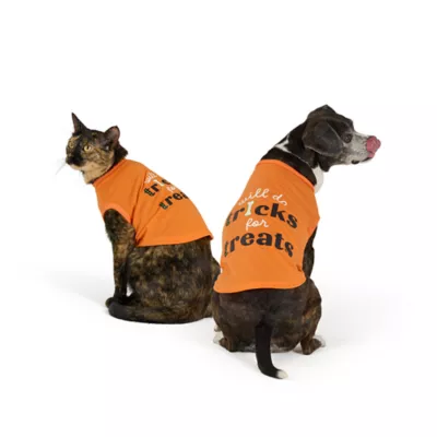 Thrills & Chills® Tricks for Treats Dog & Cat Tee - Image 1