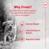 Royal Canin Adult Frozen Dog Food - Pork & Rice image thumbnail 2