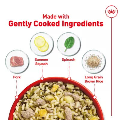Royal Canin Adult Frozen Dog Food - Pork & Rice - Image 4