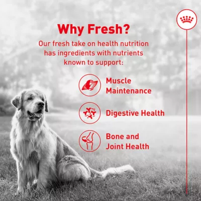 Royal Canin Senior Frozen Dog Food - Beef & Rice - Image 2