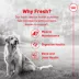 Royal Canin Senior Frozen Dog Food - Beef & Rice image thumbnail 2