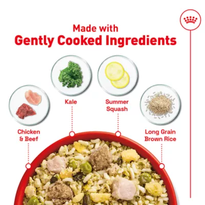 Royal Canin Senior Frozen Dog Food - Beef & Rice - Image 4