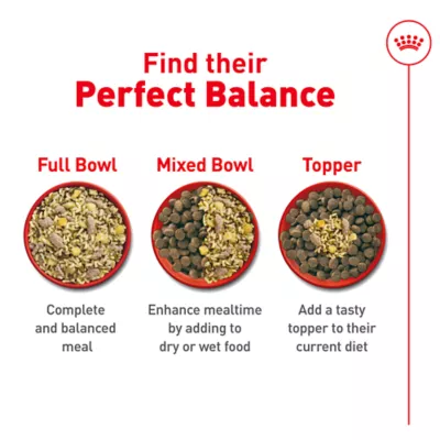 Royal Canin Senior Frozen Dog Food - Beef & Rice - Image 5