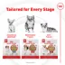 Royal Canin Senior Frozen Dog Food - Beef & Rice image thumbnail 6