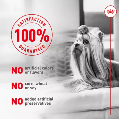 Royal Canin Senior Frozen Dog Food - Beef & Rice - Image 8